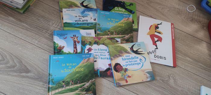 Lot livre mcdo - photo numéro 1