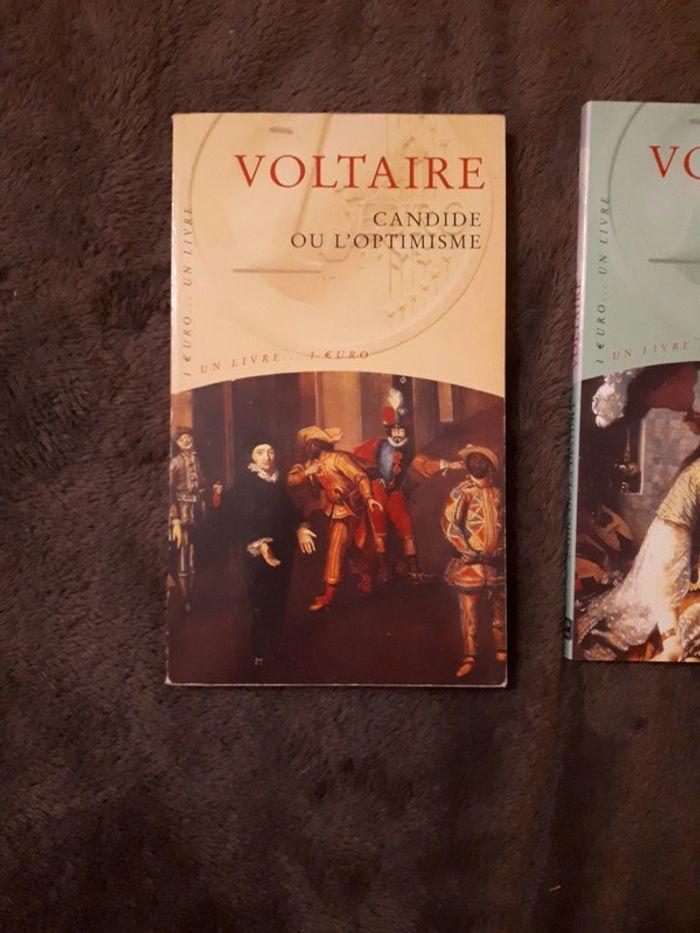 Lot 2 livres de Voltaire, Zadig ou la destinée, Candide ou l'optimiste - photo numéro 2