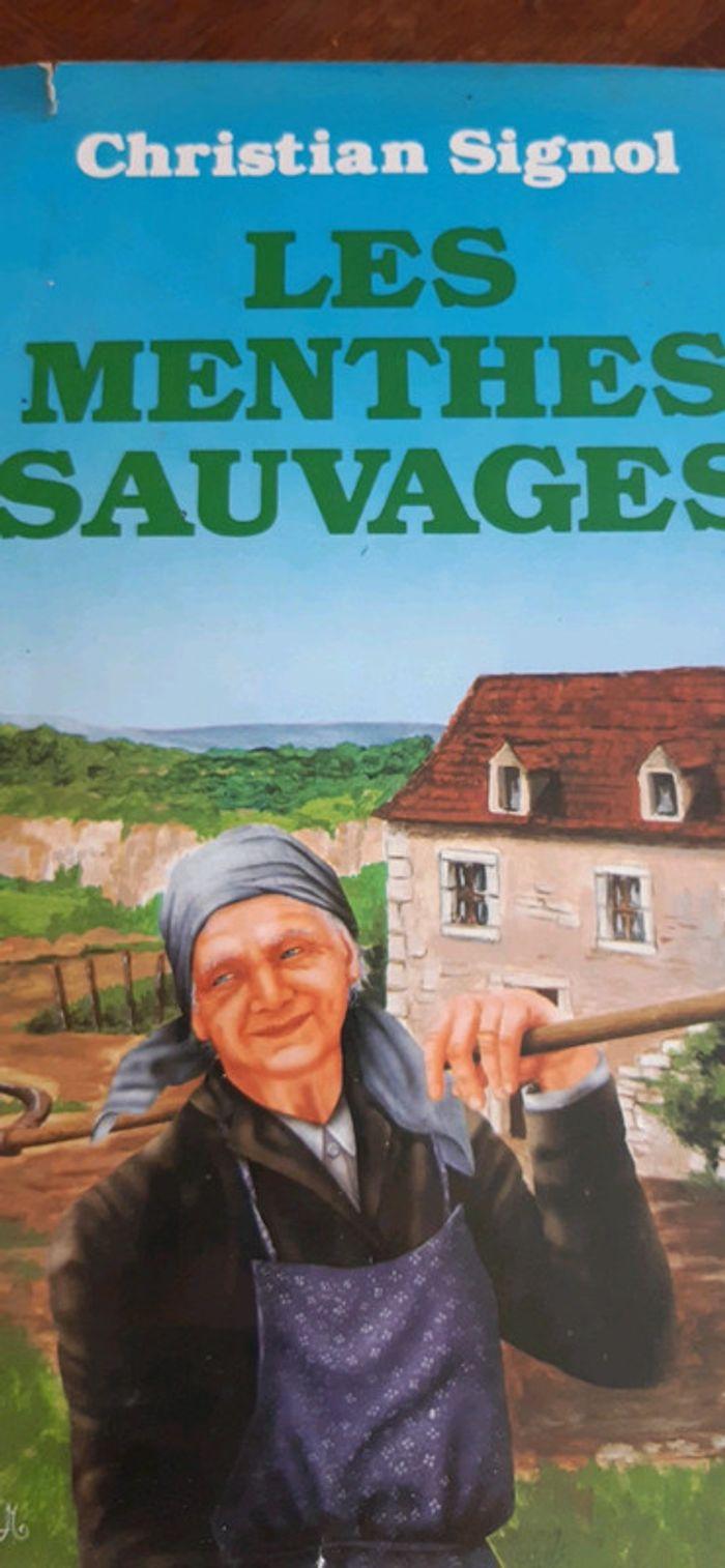 Les menthes sauvages - photo numéro 1