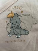 Bodie dumbo