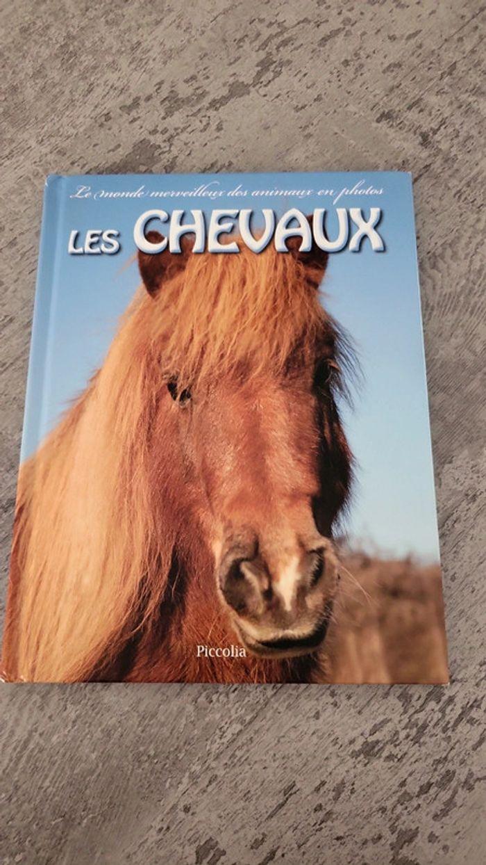 Lot de 2 livres sur les chevaux - photo numéro 6