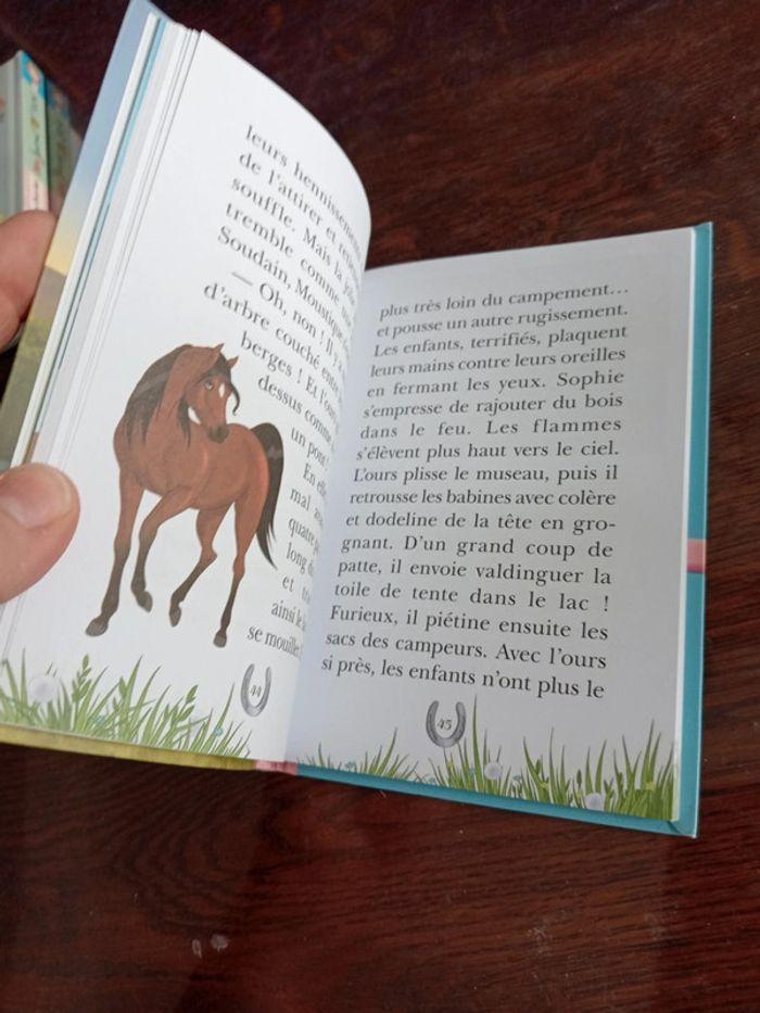 Livre mes amis les chevaux une randonnée mouvementée - photo numéro 5