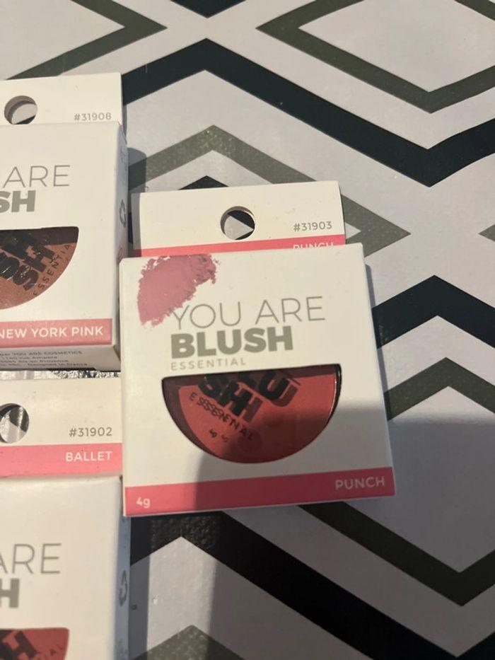 Lot de 5 Blush - photo numéro 4