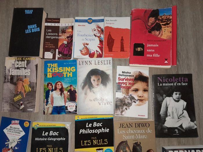 Beaucoup de livres - photo numéro 2