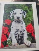 Puzzle dalmatien