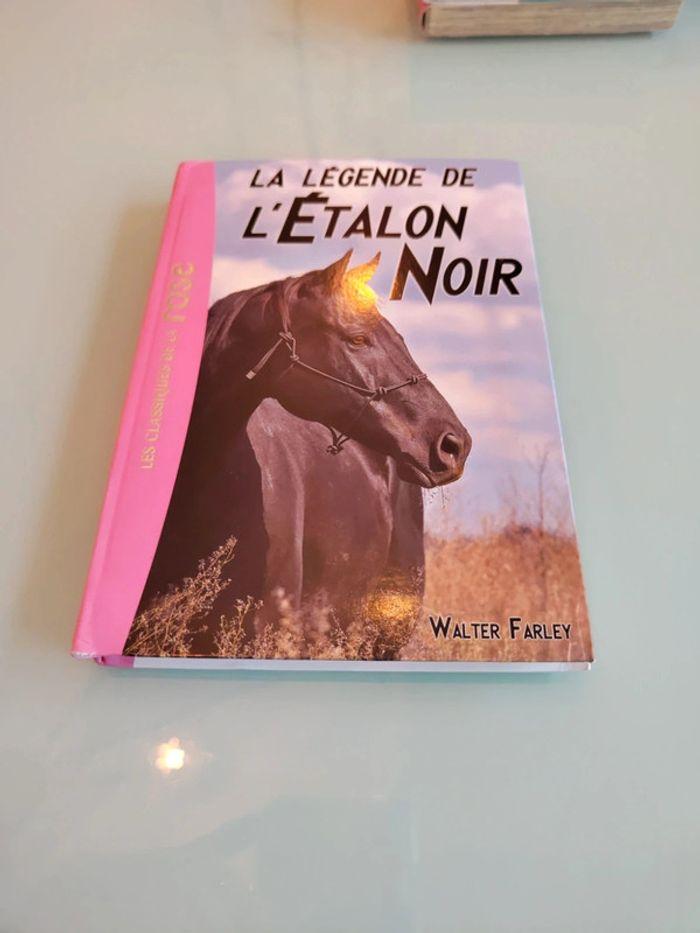 La légende de l'étalon noir - photo numéro 1