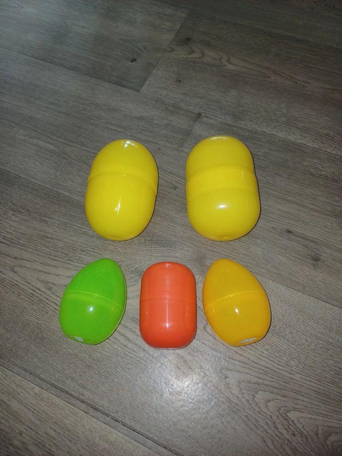 Lot de 5 gros œufs