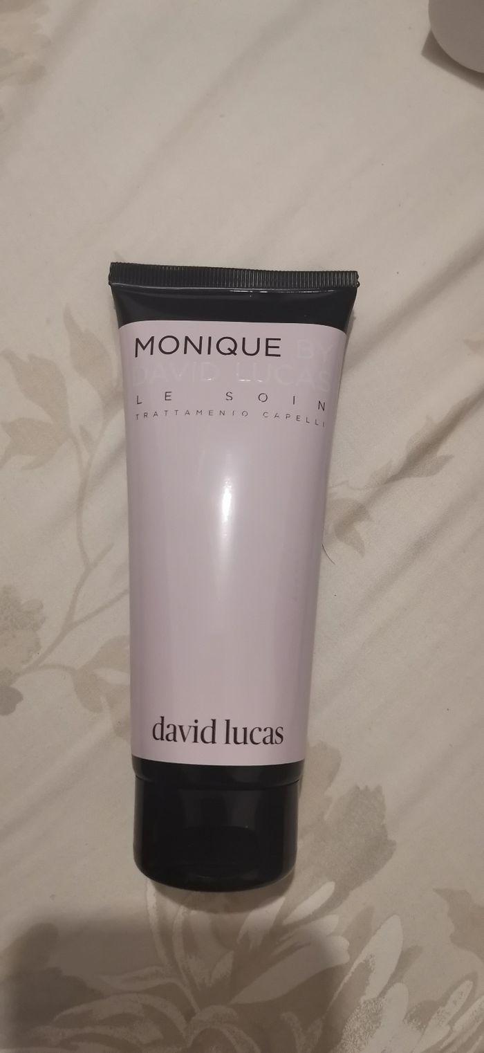 Soin crème  cheveux Monique by David Lucas sans rinçage  100ml - photo numéro 1