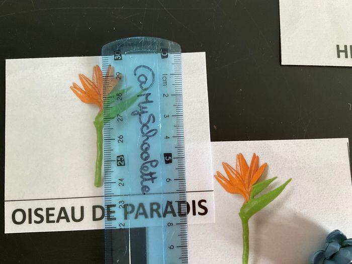 Fleurs et cartes Paires Montessori associées - photo numéro 5