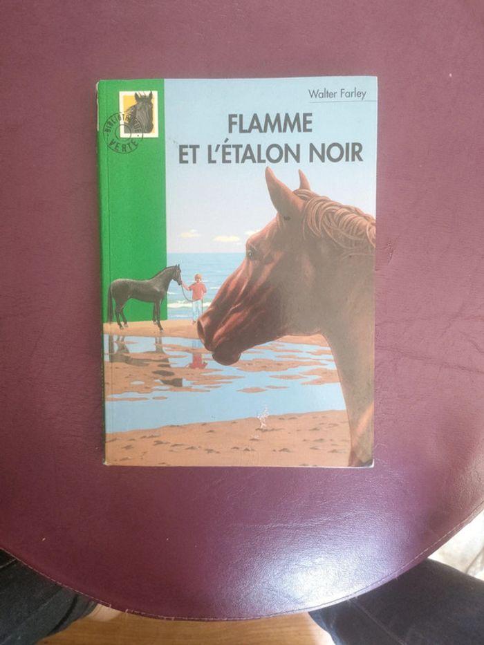 Flamme et l étalon noir - photo numéro 1