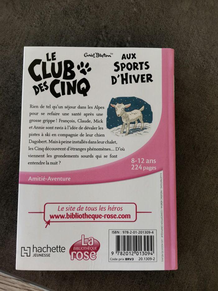 Club des cinq aux sports d'hiver - photo numéro 2