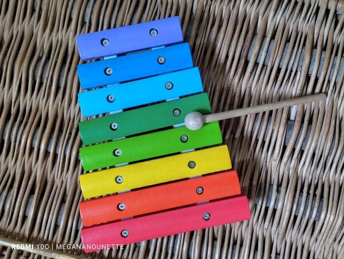 🦋 Xylophone en bois coloré Boutique Local