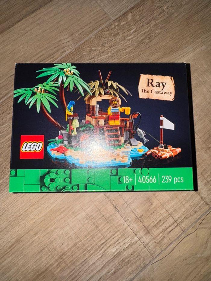 Set Lego 40566 - Ray the castaway