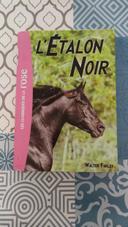 Livre l'étalon noir