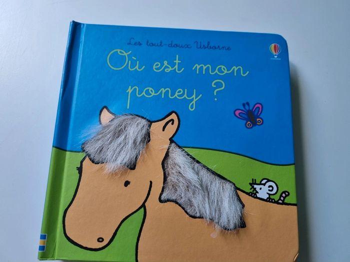 Livre "Ou est mon poney?" - photo numéro 1