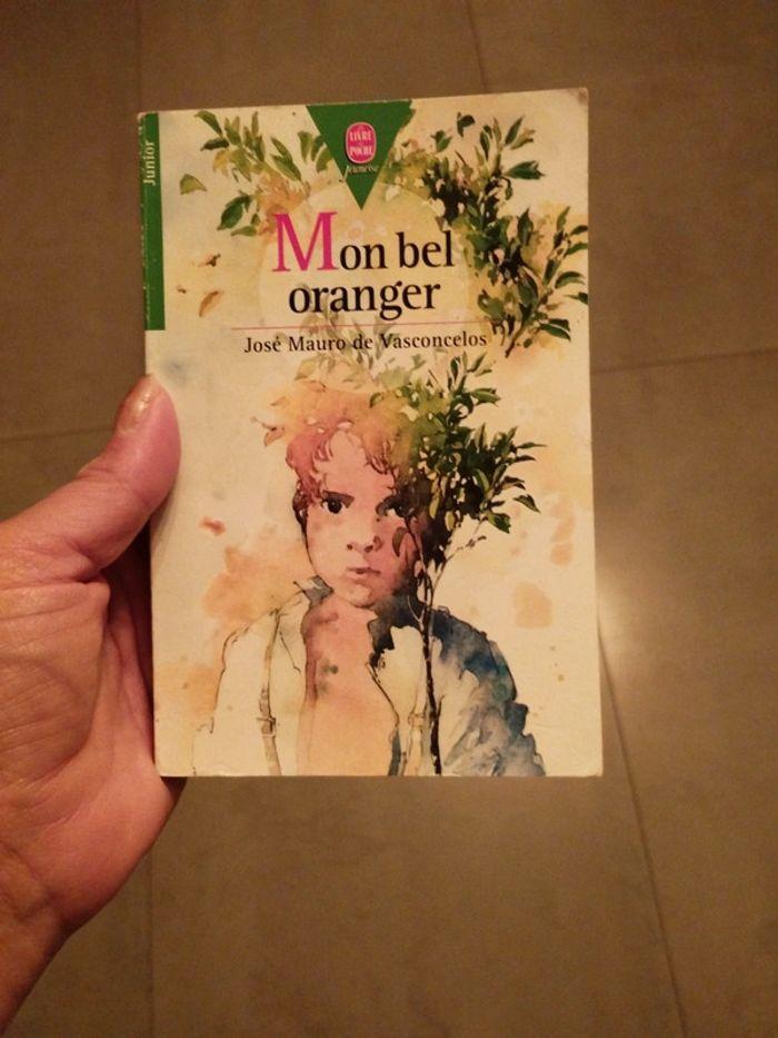 Livre mon bel oranger - photo numéro 1