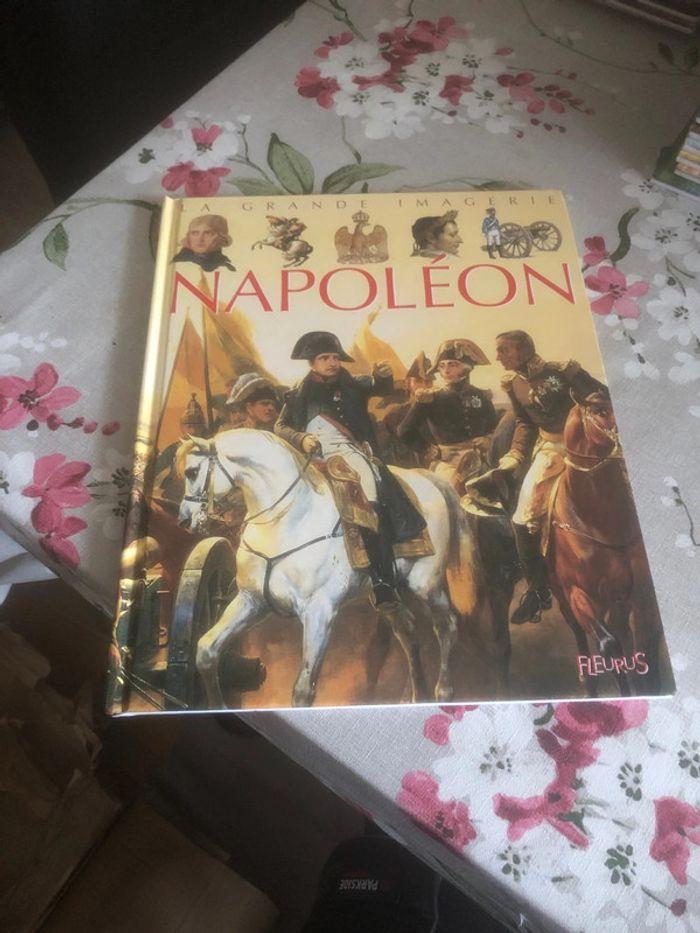 Bd la grande imagerie napoleon - photo numéro 1