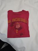 T-shirt the incredible