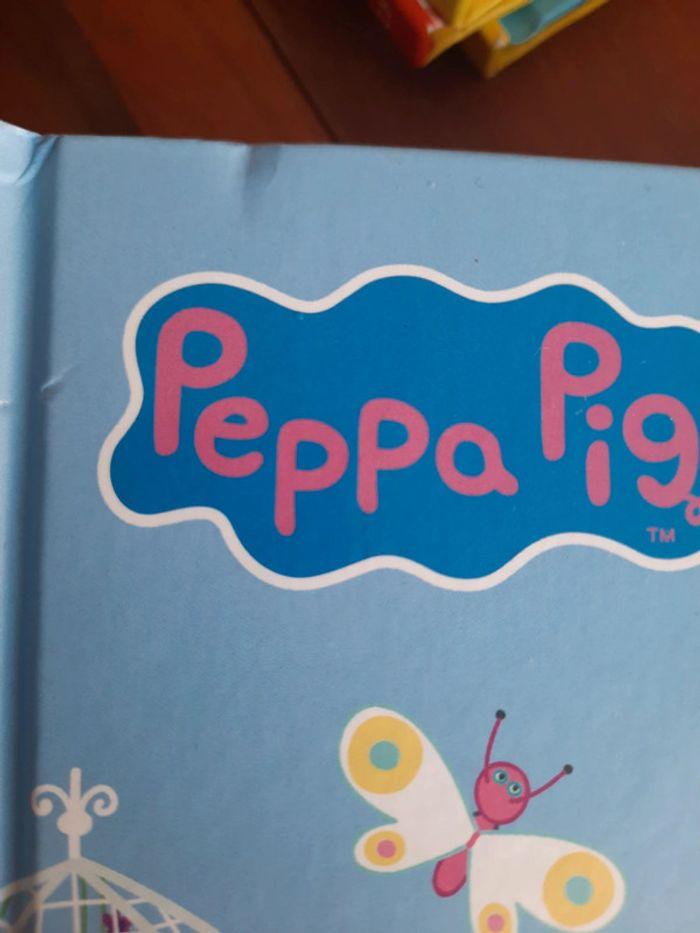 Lot livres peppa pig - photo numéro 7