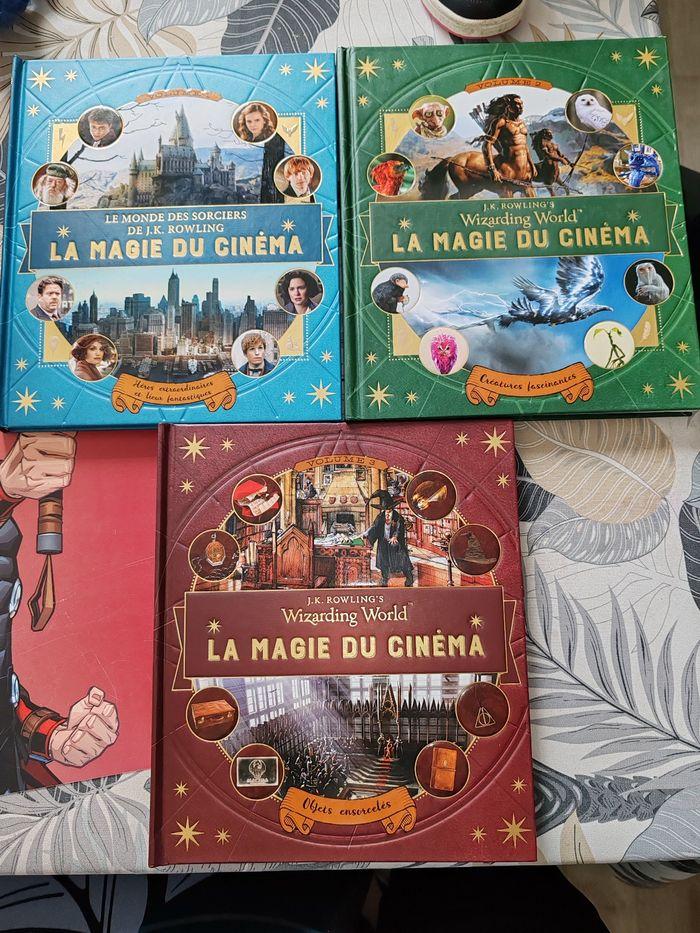 Lot  de livre Harry potter - photo numéro 1