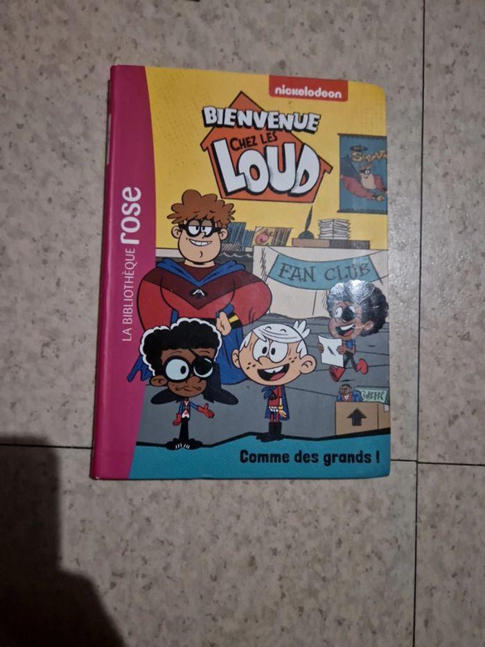 4 Livre bienvenue  chez les loud - photo numéro 6