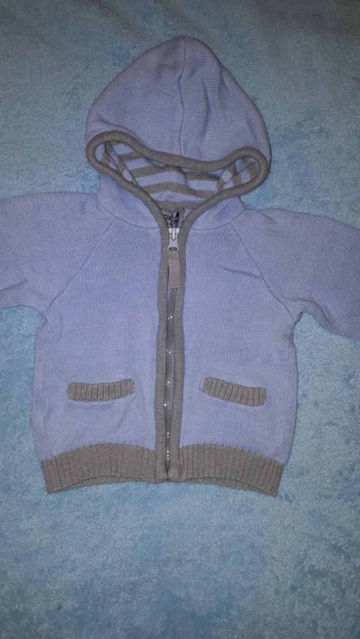 Gilet zippé à capuche bleu ciel et gris 9 mois Tape à l'oeil - photo numéro 2