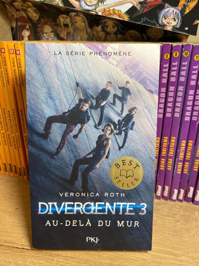 Livre Divergente - photo numéro 1