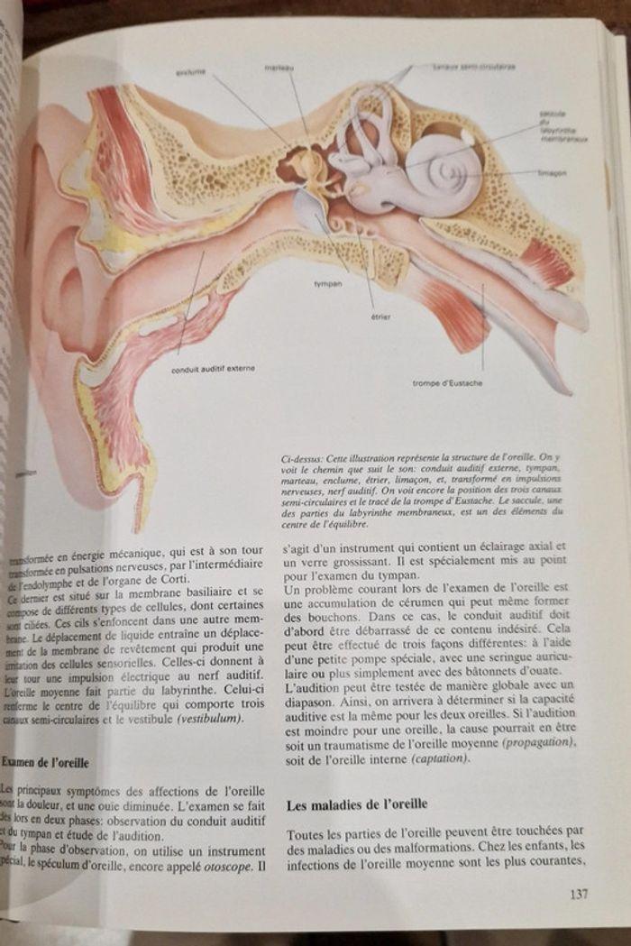 Encyclopédie les maladies infantiles - photo numéro 3