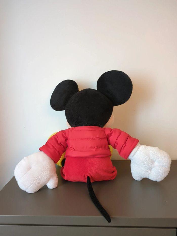 peluche Mickey Disney store 2010 - photo numéro 4