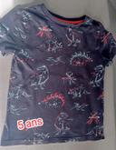 Tee shirt dinosaure