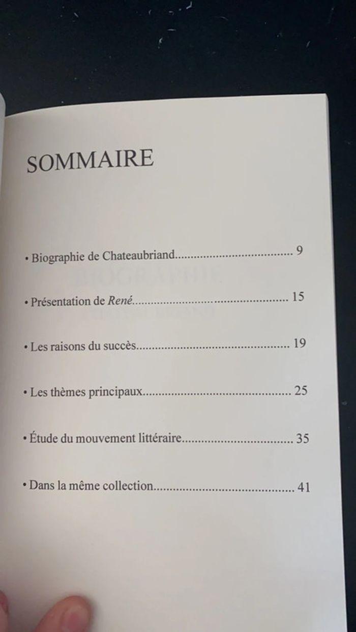 Analyse de René de Chateaubriand - photo numéro 3