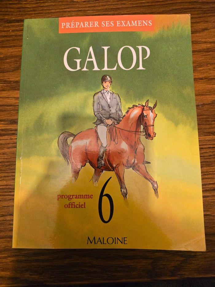 Préparer ses examens galop 6 - photo numéro 1