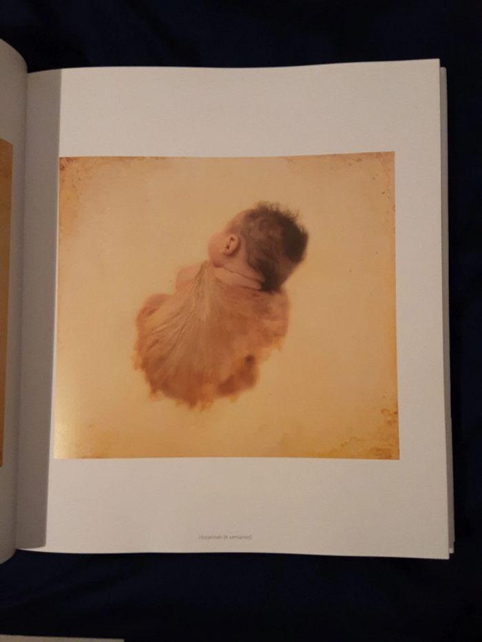 Livre 📷 Anne Geddes - photo numéro 2