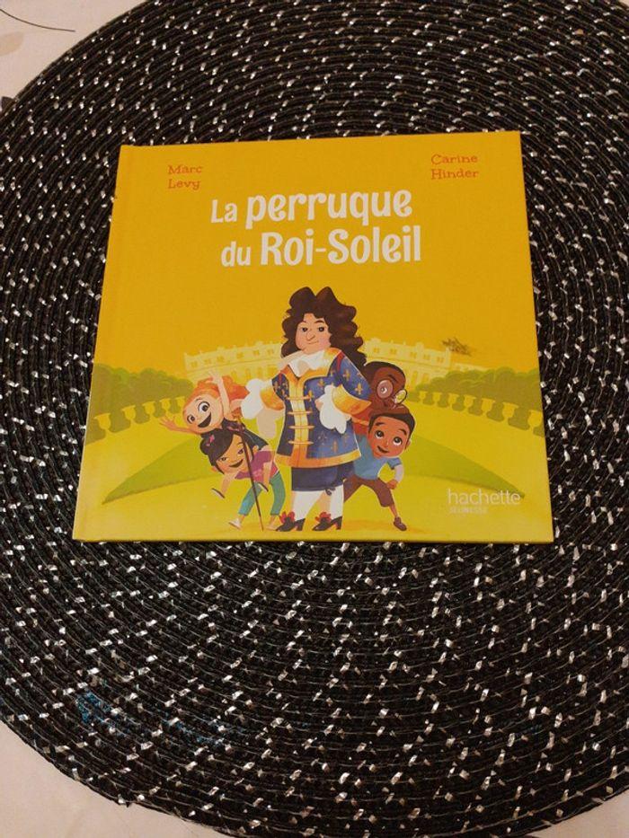 Livre la perruque du roi soleil - photo numéro 1