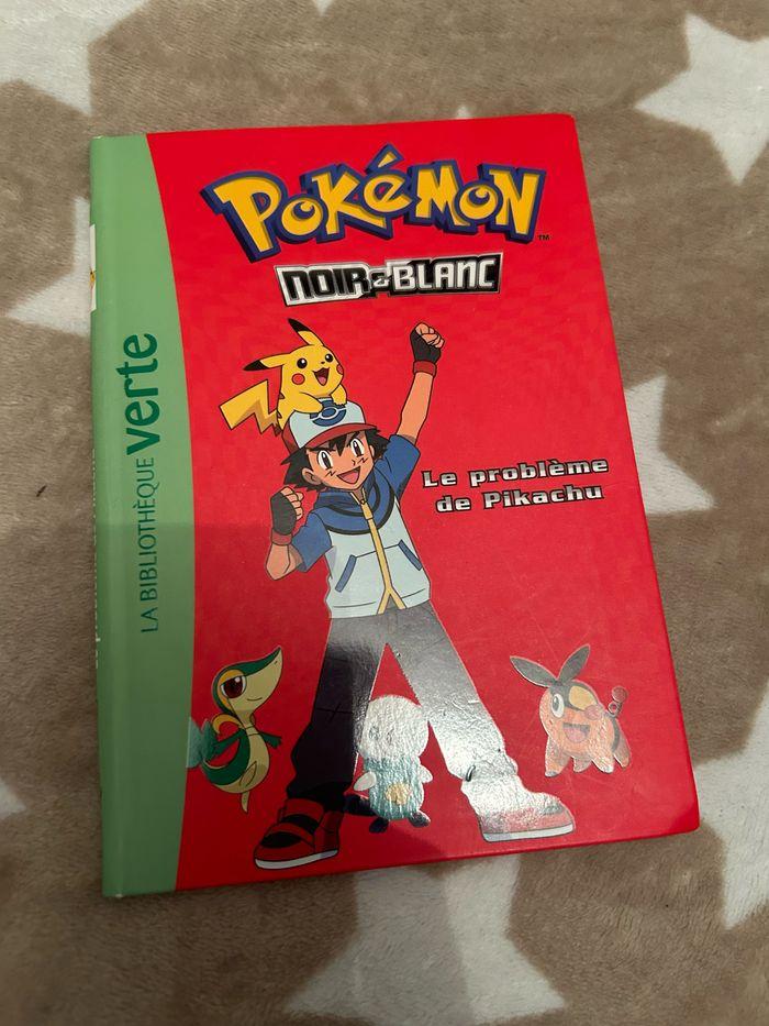 Livre Pokémon « le problème de pikachu » - photo numéro 1