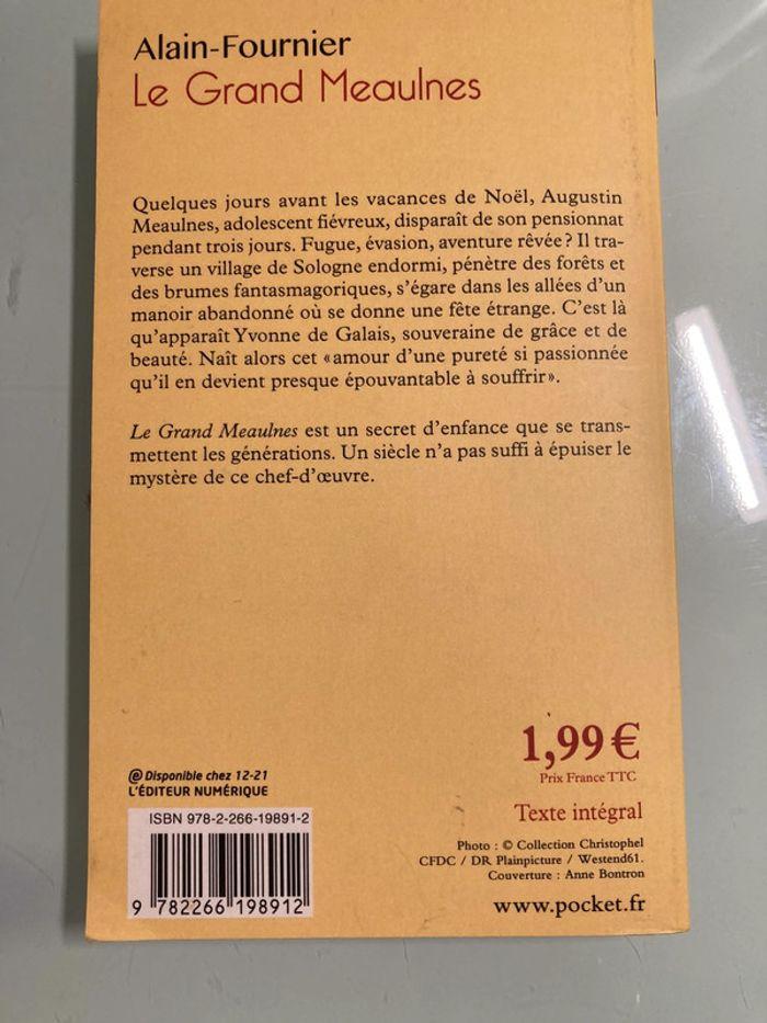 Le Grand Meaulnes de Alain-Fournier - photo numéro 2