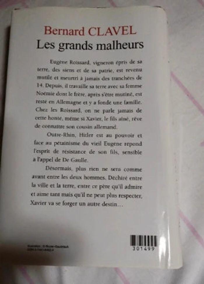 Roman Les grands Malheurs - photo numéro 2