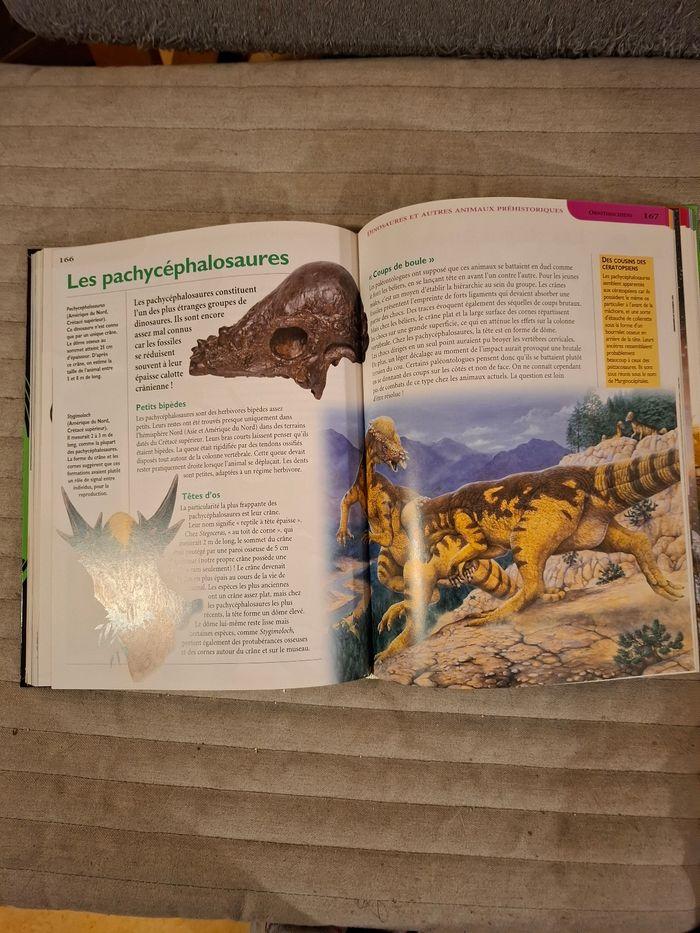 Les Encyclopes:  Les dinosaures et autres animaux préhistoriques - photo numéro 4