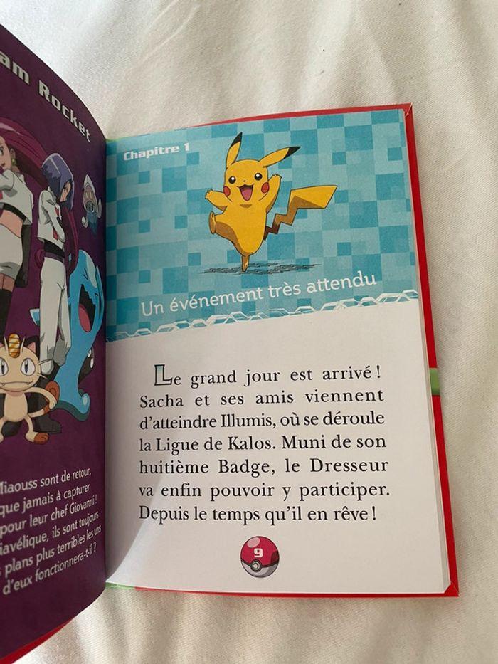 Livre Pokémon - photo numéro 3