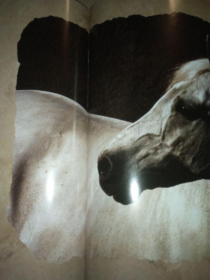 Gros livre les chevaux du soleil - photo numéro 15