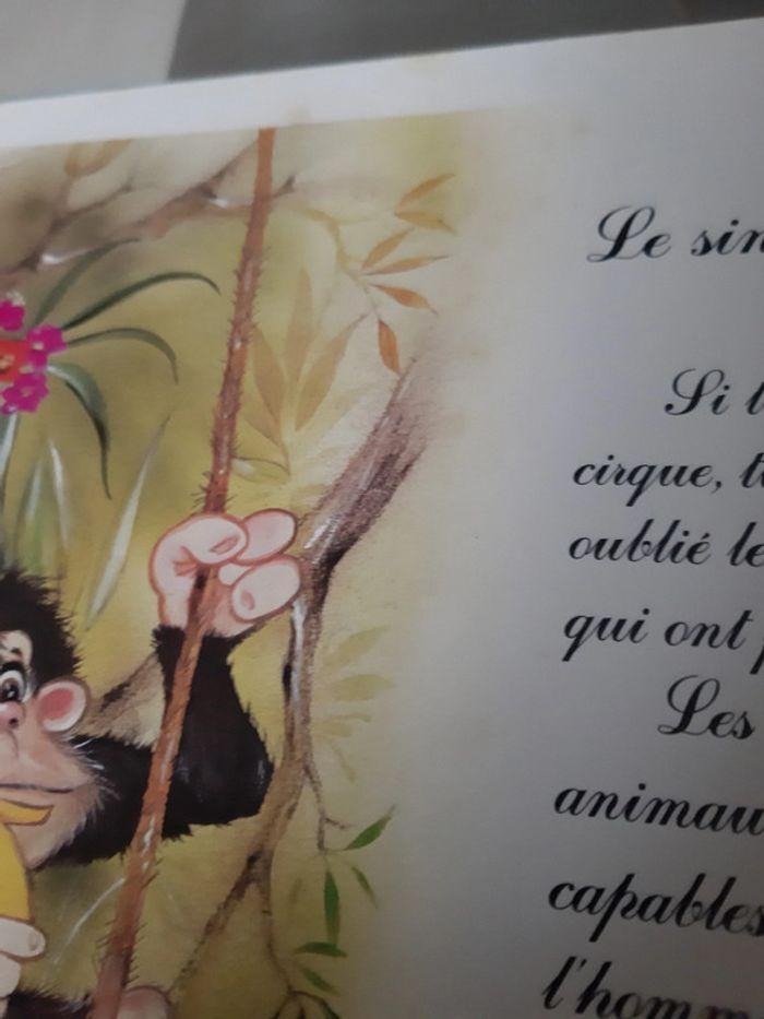 Livre enfant - Les animaux de la jungle - photo numéro 3