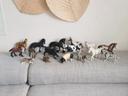 Lot de 16 figurines animaux ferme Schleich papo