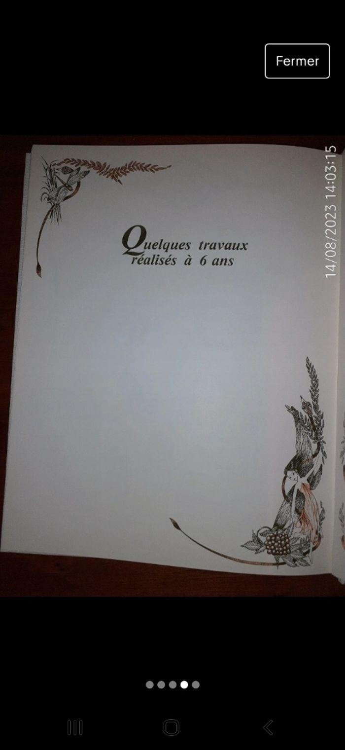 Livre d'or de bébé/ livre de naissance - photo numéro 4