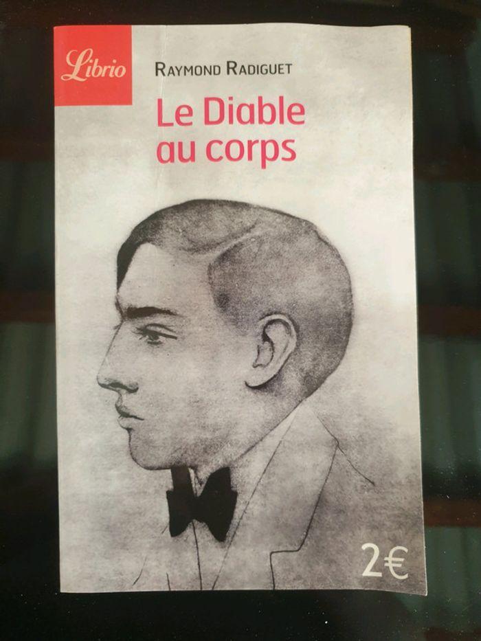 Livre le diable au corps - photo numéro 1