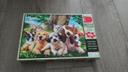 Puzzle chats et chiens