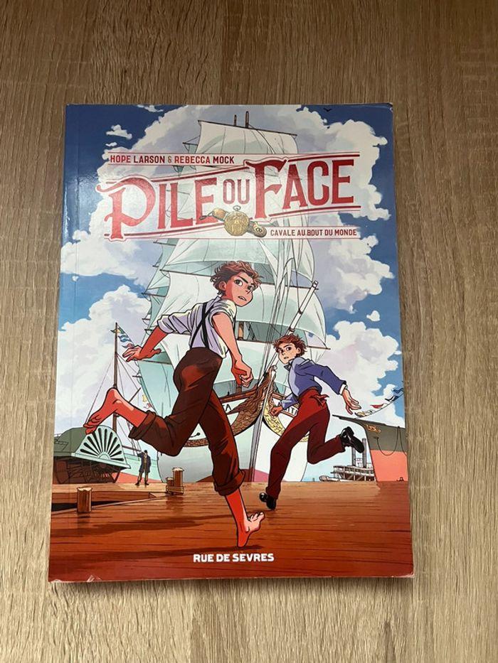 Livre pile ou face - photo numéro 1