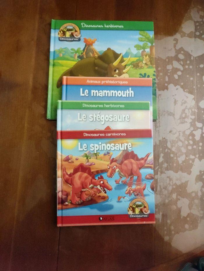 Lot 4 livres sur les dinosaures et mamouth Altaya - photo numéro 1