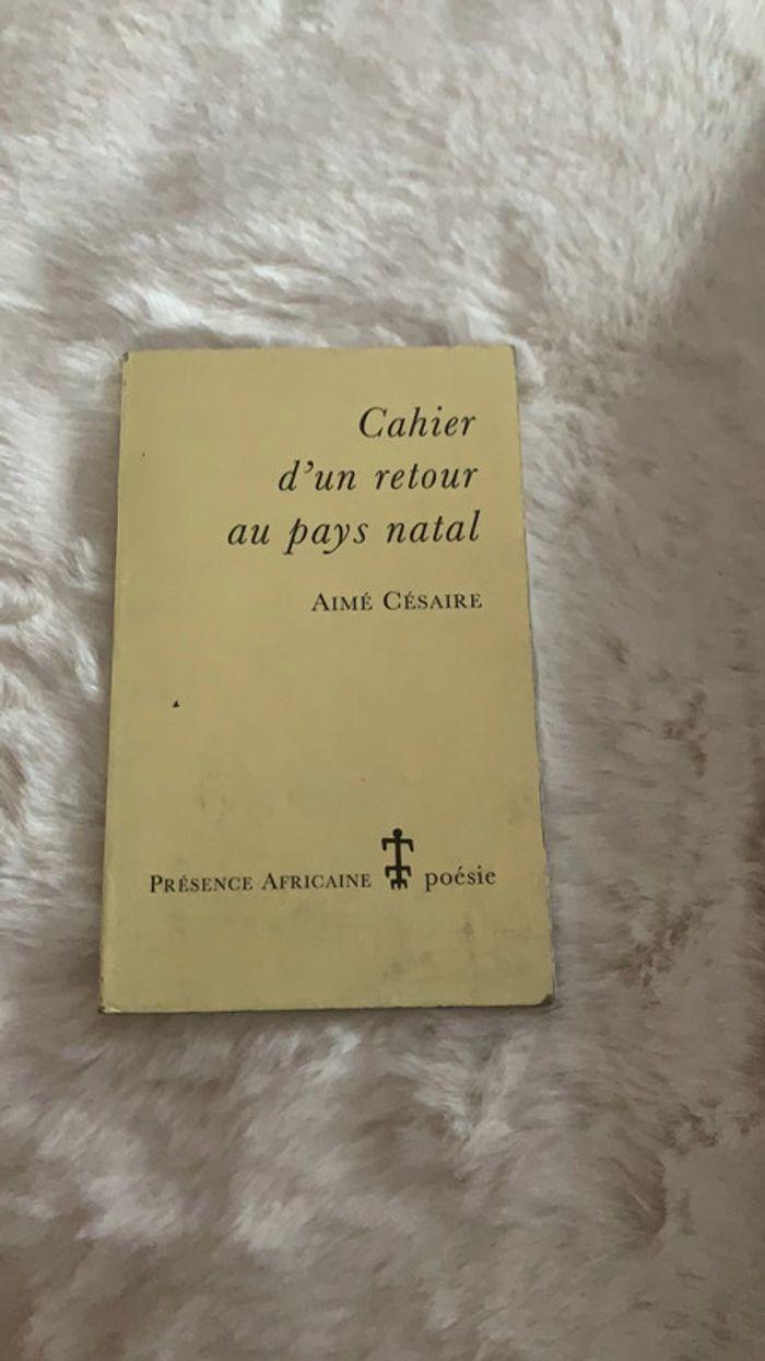 Cahier d’un retour au pays natal - photo numéro 1