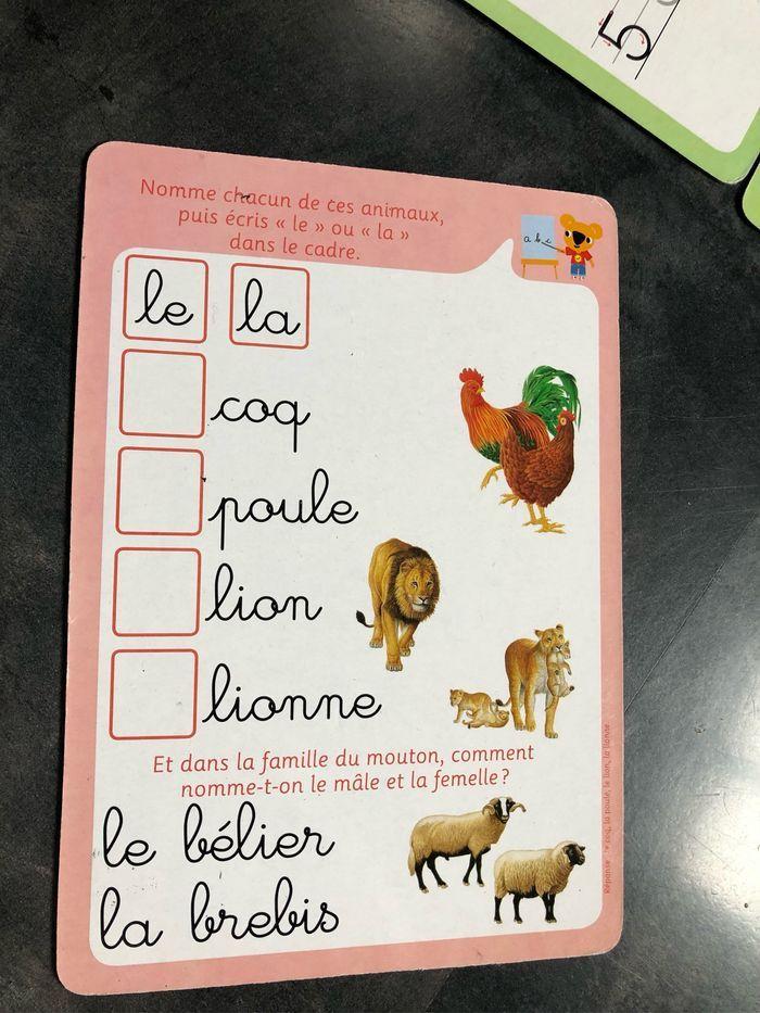 16 Fiches cartonnées réutilisables écritures mathématiques logique - photo numéro 8