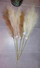 Lot de 6 pampas neuves Centrakor